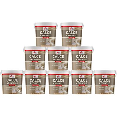 ARCANE INDUSTRIES Calce A Pennello Per Muri Esterni E Interni - Badiplus - 10 X 20 Kg Lisbona - Rosa Ocra - ARCANE INDUSTRIES Calce A Pennello Per Muri Esterni E Interni - Badiplus - 10 X 20 Kg Lisbona - Rosa Ocra -