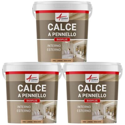ARCANE INDUSTRIES Calce A Pennello Per Muri Esterni E Interni - Badiplus - 3 X 20 Kg Lisbona - Rosa Ocra - ARCANE INDUSTRIES Calce A Pennello Per Muri Esterni E Interni - Badiplus - 3 X 20 Kg Lisbona - Rosa Ocra -