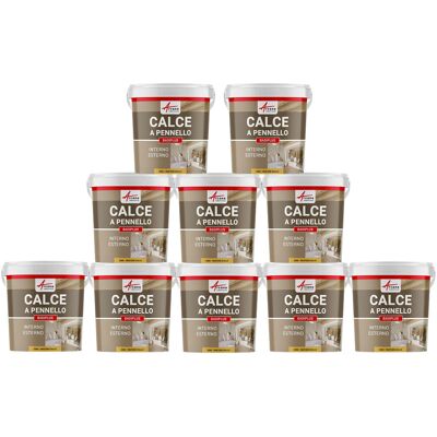 ARCANE INDUSTRIES Calce A Pennello Per Muri Esterni E Interni - Badiplus - 10 X 20 Kg Mentone Giallo - ARCANE INDUSTRIES Calce A Pennello Per Muri Esterni E Interni - Badiplus - 10 X 20 Kg Mentone Giallo -
