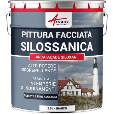 ARCANE INDUSTRIES Pittura Silossanica Per Esterni E Facciate, Ad Alto Potere Idrorepellente - Arcafaçade Siloxane - 10 X 10 L Bianco Grigiastro - Ral 9002 - ARCANE INDUSTRIES Pittura Silossanica Per Esterni E Facciate, Ad Alto Potere Idrorepellente - Arcafaçade Siloxane - 10 X 10 L Bianco Grigiastro - Ral 9002 -