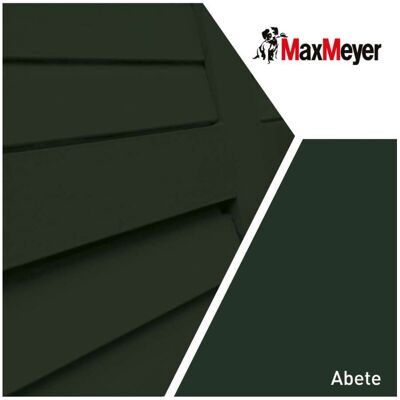 MAX MEYER Maxmeyer Smalto A Solvente Brillante Abete R6009 0,750 L MAX MEYER Maxmeyer Smalto A Solvente Brillante Abete R6009 0,750 L