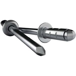 GESIPA Mini Pacchetto Rivetti In Acciaio / Acciaio 3x 6 Millimetri GESIPA Mini Pacchetto Rivetti In Acciaio / Acciaio 3x 6 Millimetri