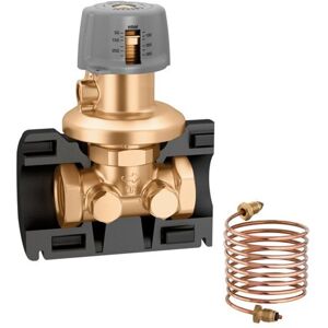 CALEFFI Regolatore Di Pressione Differenziale Con Coibentazione. Attacco 1 1/4"f , Taratura Regolabile 50-300 140370 1 1/4"f CALEFFI Regolatore Di Pressione Differenziale Con Coibentazione. Attacco 1 1/4"f , Taratura Regolabile 50-300 140370 1 1/4"f