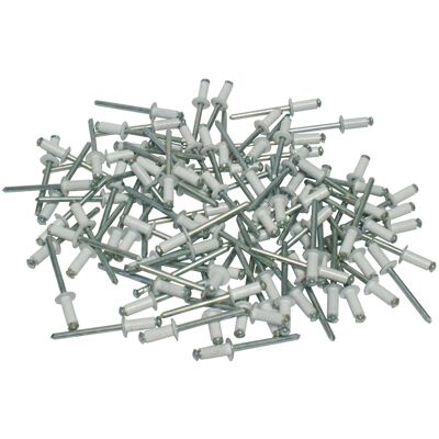 CORA - 000116016 Kit 100 Rivetti Fissaggio Targa, Bianco CORA - 000116016 Kit 100 Rivetti Fissaggio Targa, Bianco