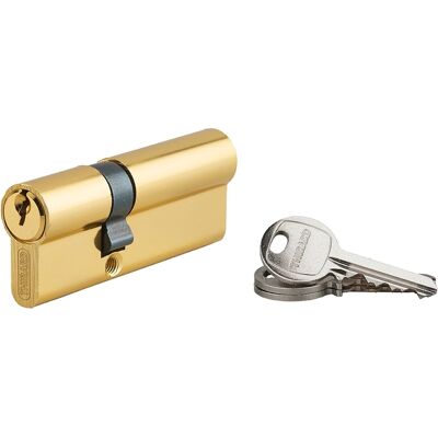 THIRARD Ecopro 30x50mm alluminio finitura ottone cilindro THIRARD Ecopro 30x50mm alluminio finitura ottone cilindro