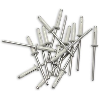 OC-PRO Rivetti 4x20mm Bianchi - Per Targhe OC-PRO Rivetti 4x20mm Bianchi - Per Targhe