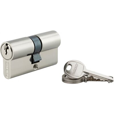 Thirard - Cylindre à clé crantée 30 x 30 mm - Nickel plated - 3 keys - Lock Cylinder Thirard - Cylindre à clé crantée 30 x 30 mm - Nickel plated - 3 keys - Lock Cylinder