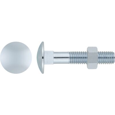 Index Din 603/934 - Vite + Dado. Zinco 06x100 (100 Pz.) Index Din 603/934 - Vite + Dado. Zinco 06x100 (100 Pz.)