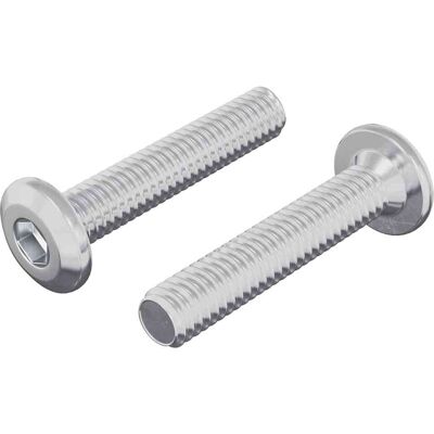 VIDAXL Vite Con Testa Bloccante 2 Pz Argento M6 X 30 Mm Acciaio VIDAXL Vite Con Testa Bloccante 2 Pz Argento M6 X 30 Mm Acciaio