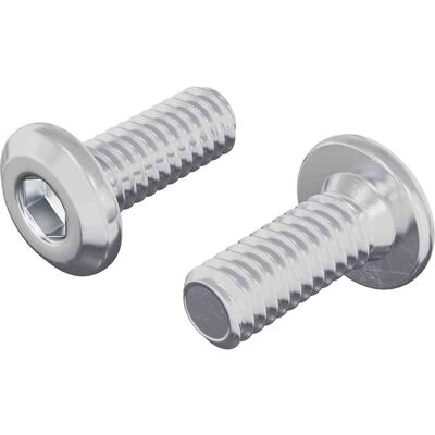 VIDAXL Vite Con Testa Bloccante 2 Pz Argento M6 X 15 Mm Acciaio VIDAXL Vite Con Testa Bloccante 2 Pz Argento M6 X 15 Mm Acciaio