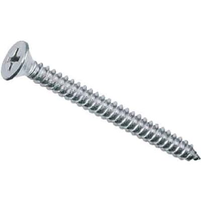 AMA Vite Autofilettante Inox Tsp 4,2x16 Mm AMA Vite Autofilettante Inox Tsp 4,2x16 Mm