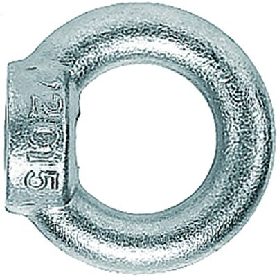 Fischer Anello Dado Ri M 8 E - 091577 Fischer Anello Dado Ri M 8 E - 091577