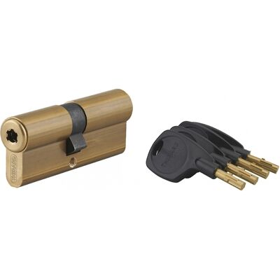 THIRARD - Surveyor - 41x41mm - ottone - Cilindro THIRARD - Surveyor - 41x41mm - ottone - Cilindro