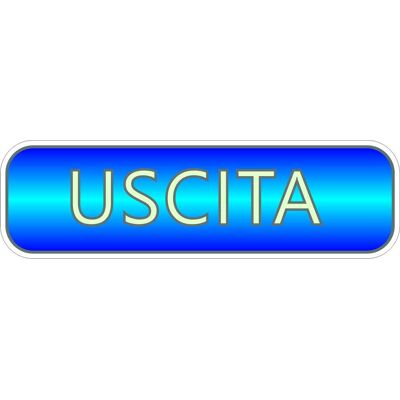 4R QUATTROERRE.IT Targhetta Adesiva 3d Fotoluminescente "uscita" 4R QUATTROERRE.IT Targhetta Adesiva 3d Fotoluminescente "uscita"