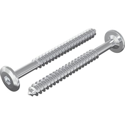 VIDAXL Viti In Legno 2 Pz Argento M6 X 70 Mm Acciaio VIDAXL Viti In Legno 2 Pz Argento M6 X 70 Mm Acciaio