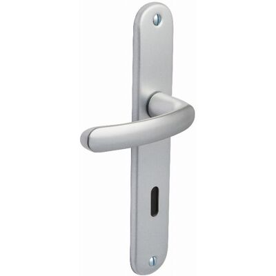 VACHETTE Set Di Porte Economiche Bezault Interasse 195 Mm Chiave L - Argento - 204856 VACHETTE Set Di Porte Economiche Bezault Interasse 195 Mm Chiave L - Argento - 204856