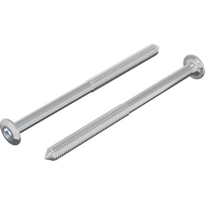 VIDAXL Vite 2 Pz Argento M6 X 85 Mm Acciaio VIDAXL Vite 2 Pz Argento M6 X 85 Mm Acciaio
