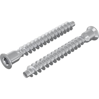 VIDAXL Viti Confermat 2 Pz Argento Ø7 X 58 Mm Metallo VIDAXL Viti Confermat 2 Pz Argento Ø7 X 58 Mm Metallo