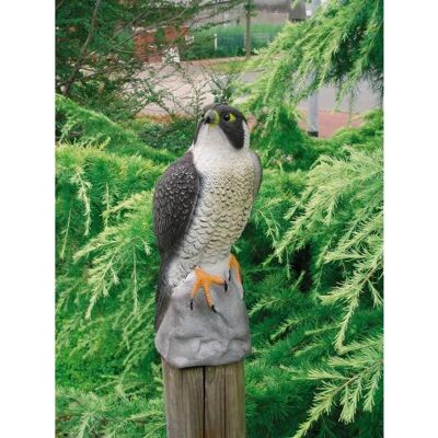 Figura animale falco Ubbink - 40cm Decorazione giardino Figura animale falco Ubbink - 40cm Decorazione giardino
