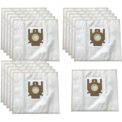 URSUS Sacchetto Filtro Polvere Compatibile Con Hoover Tipo H60 H30 H52 Enigma Te7 Te70 Ten2400 Arianne Telios T2100 T2599 T2615 T2621 T2740 T2760 (10 Pezzi) URSUS Sacchetto Filtro Polvere Compatibile Con Hoover Tipo H60 H30 H52 Enigma Te7 Te70 Ten2400 Arianne Telios T2100 T2599 T2615 T2621 T2740 T2760 (10 Pezzi)