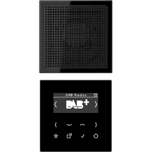 Jung Smart Radio Dab+, Set Mono 1 Modulo, Serie Ls, Nero Dab Ls1 Sw Jung Smart Radio Dab+, Set Mono 1 Modulo, Serie Ls, Nero Dab Ls1 Sw