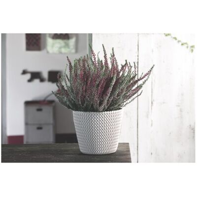 Prosperplast Splofy Dsp130 Vaso Da Fiori Bianco Prosperplast Splofy Dsp130 Vaso Da Fiori Bianco