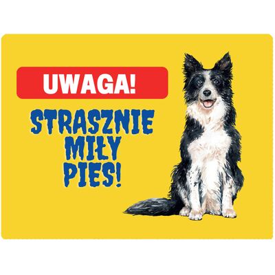 OEM Un Bellissimo Cartello Con L'Immagine Di Un Border Collie - 20x28 Cm OEM Un Bellissimo Cartello Con L'Immagine Di Un Border Collie - 20x28 Cm