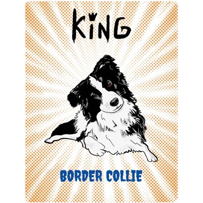 OEM Cartello Con Immagine Di Un King Border Collie - 20x28 Cm OEM Cartello Con Immagine Di Un King Border Collie - 20x28 Cm