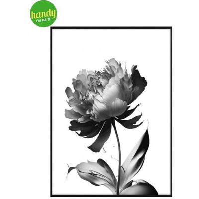 LUPIA Quadro Optical 52 X 72 Cm Black Peony LUPIA Quadro Optical 52 X 72 Cm Black Peony