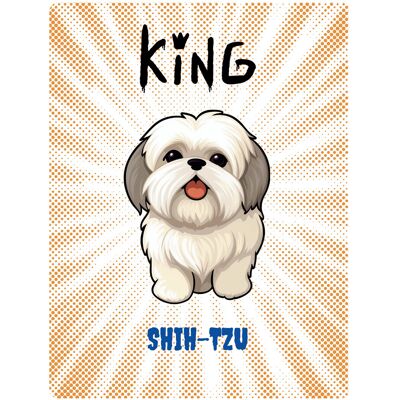 OEM Targa Con L'Immagine Di Un King Shih Tzu - 20x28 Cm OEM Targa Con L'Immagine Di Un King Shih Tzu - 20x28 Cm