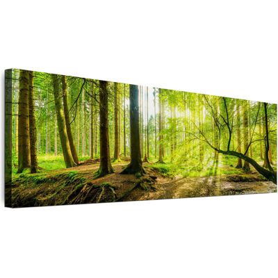 OEM Quadro Su Tela Italiana 120 X 40 Cm - Stile Eclettico - Natura Quadro Su Tela Italiana 135 X 45 Cm - Stile Eclettico - Natura OEM Quadro Su Tela Italiana 120 X 40 Cm - Stile Eclettico - Natura Quadro Su Tela Italiana 135 X 45 Cm - Stile Eclettico - Natura