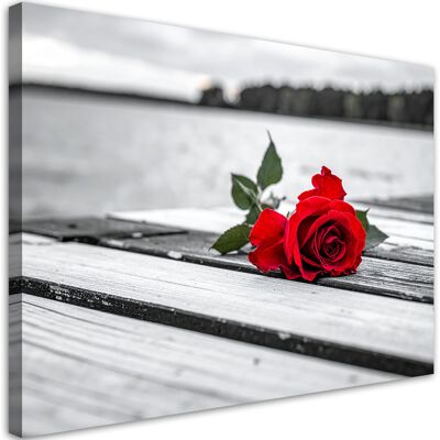 FEEBY Quadro Su Tela, Rosa Rossa Su Un Molo, 90x60 FEEBY Quadro Su Tela, Rosa Rossa Su Un Molo, 90x60