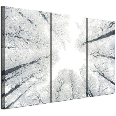 OEM Quadro Su Tela Italiana 90 X 60 Cm Trittico - Stile Scandinavo - Natura Quadro Su Tela Italiana 120 X 80 Cm Trittico - Stile Scandinavo - Natura OEM Quadro Su Tela Italiana 90 X 60 Cm Trittico - Stile Scandinavo - Natura Quadro Su Tela Italiana 120 X 80 Cm Trittico - Stile Scandinavo - Natura