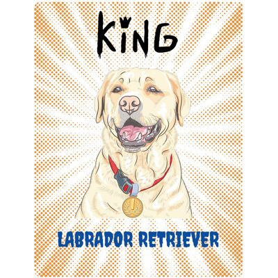 OEM Piastra Per Labrador Retriver - 20x28 Cm OEM Piastra Per Labrador Retriver - 20x28 Cm