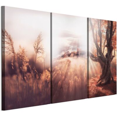 OEM Quadro Su Tela Italiana 90 X 60 Cm Trittico - Stile Classico - Natura Quadro Su Tela Italiana 120 X 80 Cm Trittico - Stile Classico - Natura OEM Quadro Su Tela Italiana 90 X 60 Cm Trittico - Stile Classico - Natura Quadro Su Tela Italiana 120 X 80 Cm Trittico - Stile Classico - Natura