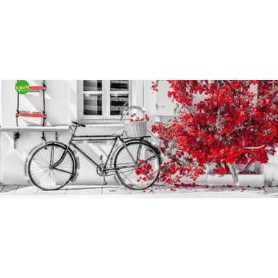 LUPIA Canvas Brillant Bike Red 52x122cm LUPIA Canvas Brillant Bike Red 52x122cm