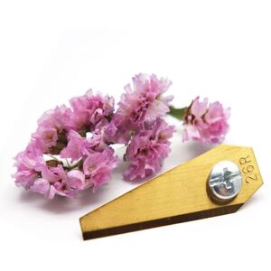 ODIPIE Confezione Da 9 Lame Di Ricambio In Titanio Da 18 Mm Per Rasaerba Robotizzati Bosch Indego - Lama Di Ricambio Per Rasaerba Robotizzati - Lama Di Ricambio Di Qualità Premium Con Design Migliorato. ODIPIE Confezione Da 9 Lame Di Ricambio In Titanio Da 18 Mm Per Rasaerba Robotizzati Bosch Indego - Lama Di Ricambio Per Rasaerba Robotizzati - Lama Di Ricambio Di Qualità Premium Con Design Migliorato.