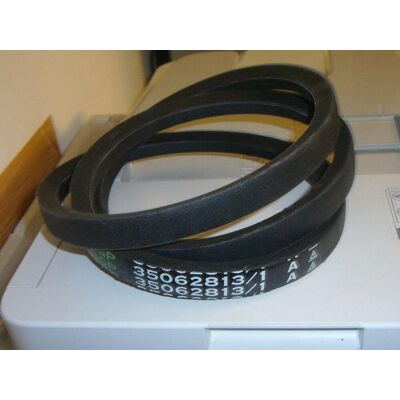 GGP Cinghia Cinta Motore- Piatto Rasaerba Trattorino Castelgarden 35062813/1 GGP Cinghia Cinta Motore- Piatto Rasaerba Trattorino Castelgarden 35062813/1