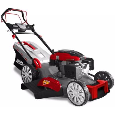 DEDRA Rasaerba A Benzina Ded8725q-56l 3.6 Kw 56 Cm DEDRA Rasaerba A Benzina Ded8725q-56l 3.6 Kw 56 Cm