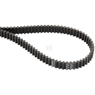 Viking Cingh. Dentata Köppl 35065600 Viking Cingh. Dentata Köppl 35065600