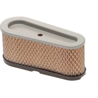 Filtro aria per trattore Castorama - Compatibile Briggs Stratton 3665392071105 Filtro aria per trattore Castorama - Compatibile Briggs Stratton 3665392071105
