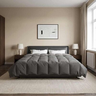 VIDAXL Piumone Completo Annuale Grigio Chiaro 240 X 260 Cm VIDAXL Piumone Completo Annuale Grigio Chiaro 240 X 260 Cm