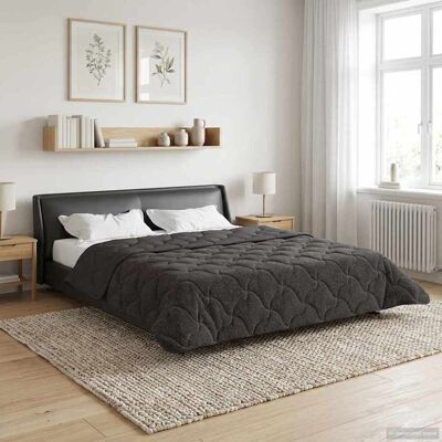 VIDAXL Piumone Completo Annuale Trapuntato Antracite 220 X 240 Cm VIDAXL Piumone Completo Annuale Trapuntato Antracite 220 X 240 Cm