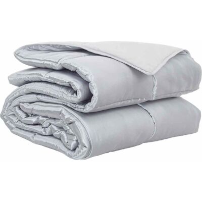 VIDAXL Piumone Completo Annuale 220 X 260 Cm 300 Gsm Argento VIDAXL Piumone Completo Annuale 220 X 260 Cm 300 Gsm Argento