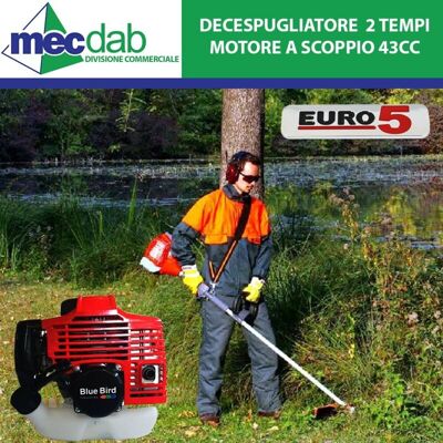 BLUEBIRD Blue Bird 46212 King Decespugliatore A Scoppio 2 Tempi 42.7 Cc 1.25 Kw Asta Rigida Alluminio 26 Mm Testina Tap And Go Euro 5 BLUEBIRD Blue Bird 46212 King Decespugliatore A Scoppio 2 Tempi 42.7 Cc 1.25 Kw Asta Rigida Alluminio 26 Mm Testina Tap And Go Euro 5