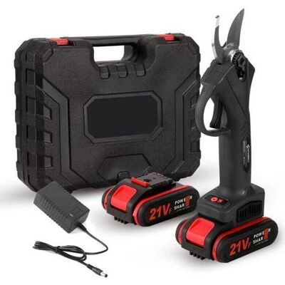 ABYSSE Forbici Da Giardino A Batteria Da 21 V, Strumento Ad Alte Prestazioni Per Il Taglio Di Bonsai, Attrezzo Da Giardino, Due Batterie E Caricabatterie, Nero ABYSSE Forbici Da Giardino A Batteria Da 21 V, Strumento Ad Alte Prestazioni Per Il Taglio Di Bonsai, Attrezzo Da Giardino, Due Batterie E Caricabatterie, Nero