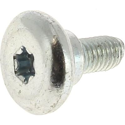 Bosch Vite Autofilettante 2603413040 Per Tagliasiepi Bosch Vite Autofilettante 2603413040 Per Tagliasiepi