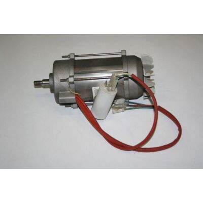 ELMAG Motore Completo Per Queen 230 ELMAG Motore Completo Per Queen 230