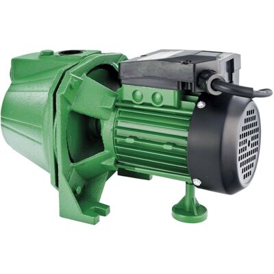 RIBILAND - Pompa Autoadescante Per Acqua Di Superficie Jet 101 - 970 W - Corpo In Ghisa - Ribimex - Prjet101 RIBILAND - Pompa Autoadescante Per Acqua Di Superficie Jet 101 - 970 W - Corpo In Ghisa - Ribimex - Prjet101