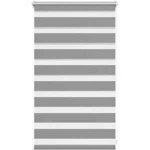 VIDAXL Tenda A Rullo Oscurante Zebra 50x100 Cm Grigia VIDAXL Tenda A Rullo Oscurante Zebra 50x100 Cm Grigia